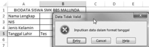 Hasil pembuatan validasi data
